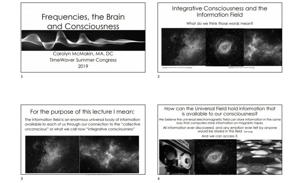 Brain-FSM-the-vagus-and-consciousness (2)