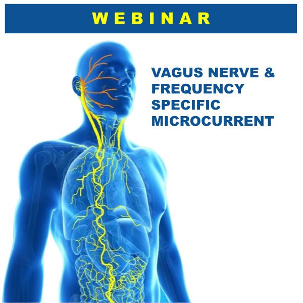 Vagus Nerve