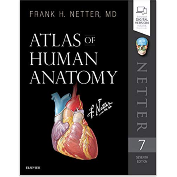 Human　Anatomy　of　Frank　by　Netter,　Microcurrent　MD　Frequency　Specific　Microcurrent　Frequency　Specific　Atlas　H.