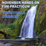 fsm hands on practicum