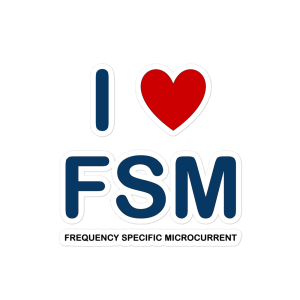 I Love FSM Sticker