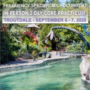 fsm-core-practicum-september-2025-2