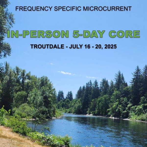 fsm-core-troudale-july-2025