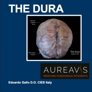 the dura and fsm cover