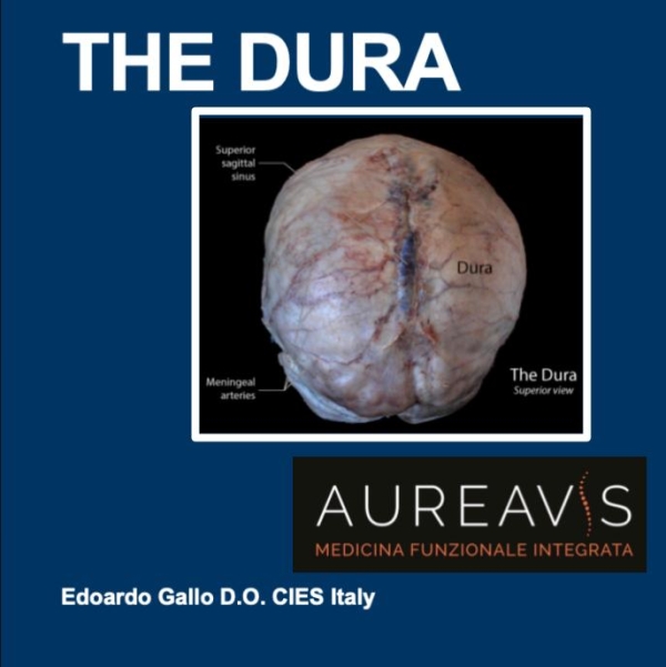 the dura and fsm cover